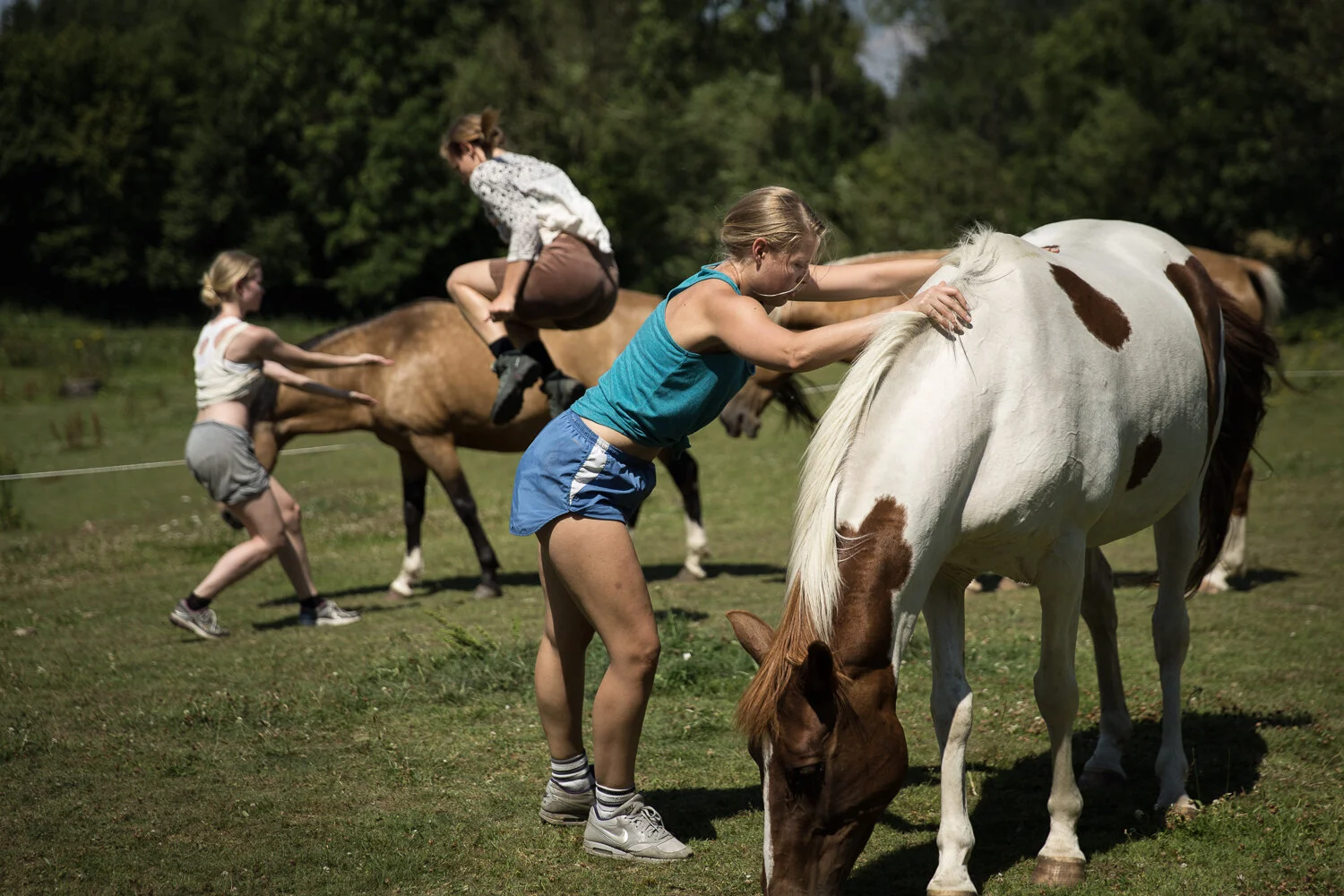 Prosjekt Hestenge | Copyright Nina Holtan - all rights reserved.jpg