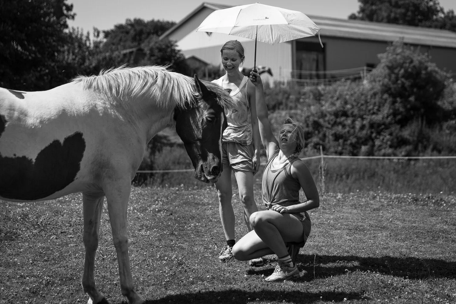 Prosjekt Hestenge | Copyright Nina Holtan - all rights reserved.jpg