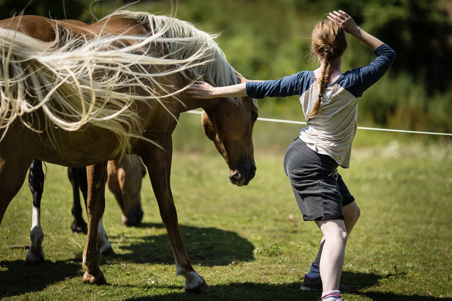 Prosjekt Hestenge | Copyright Nina Holtan - all rights reserved.jpg