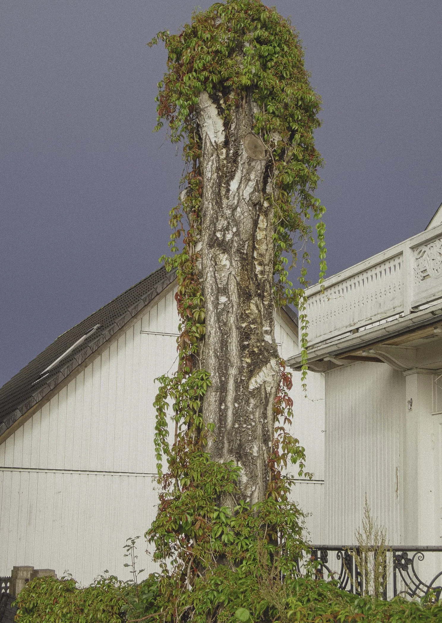 Ordfører Lunds villa