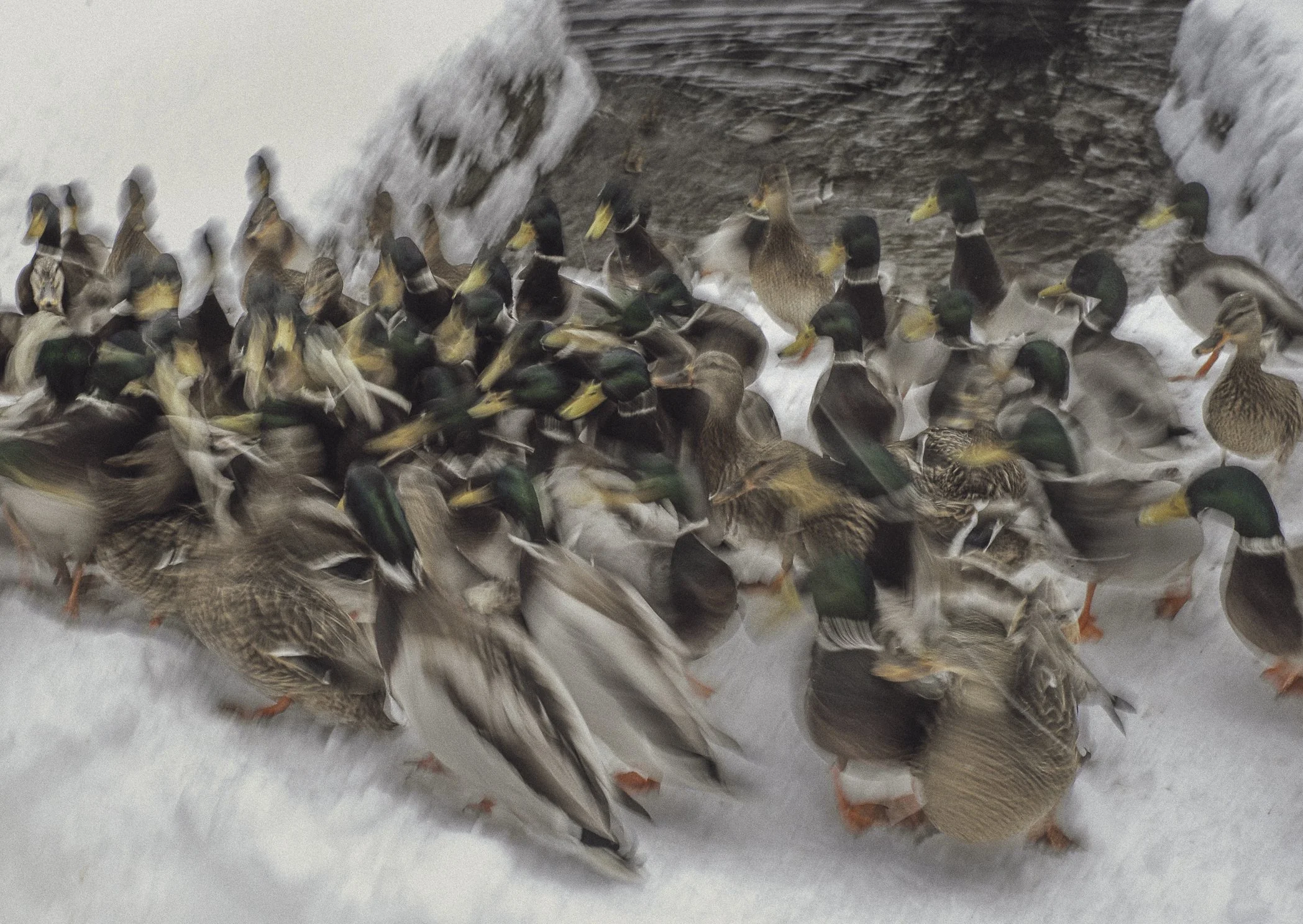 Ved gamle Strømsø Torv