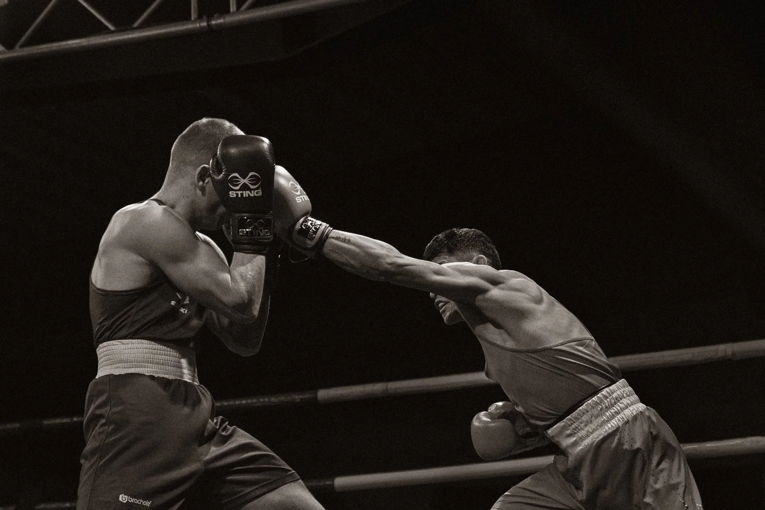 Scene | Copyright Nina Holtan. All rights reserved.jpg