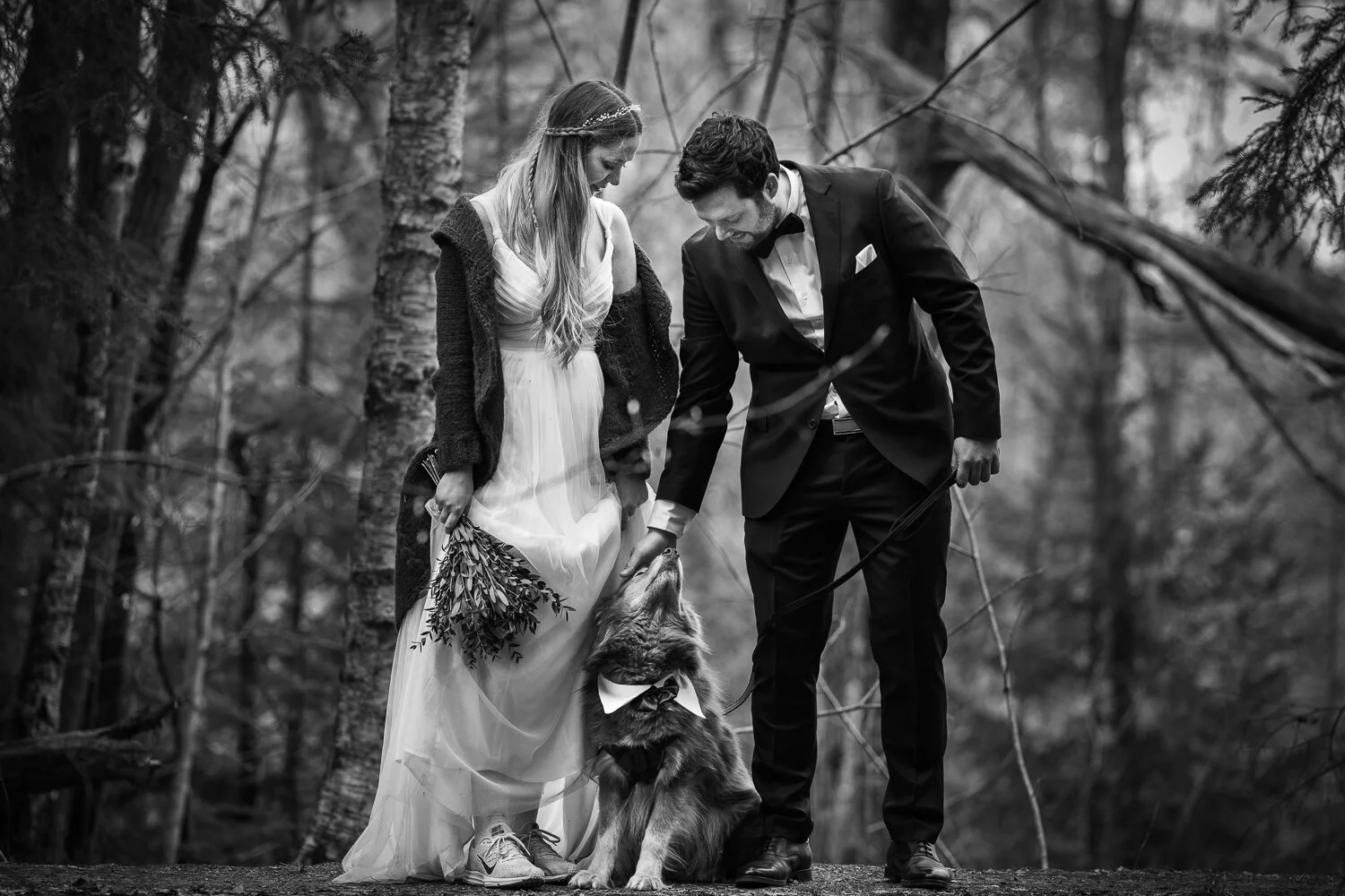 Copyright Nina Holtan - all rights reserved | NH#0122830.jpg