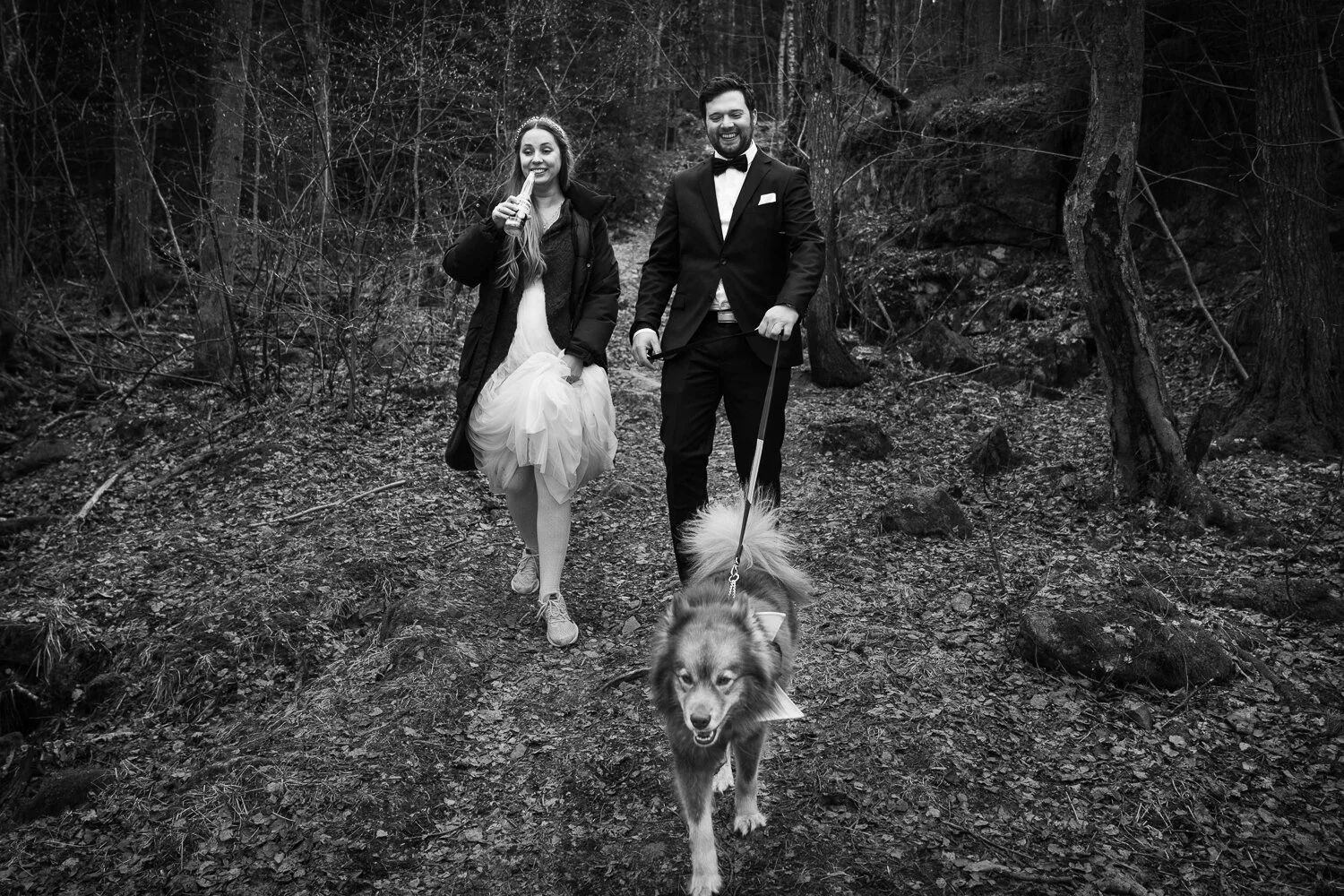 Copyright Nina Holtan - all rights reserved | NH#0121904.jpg