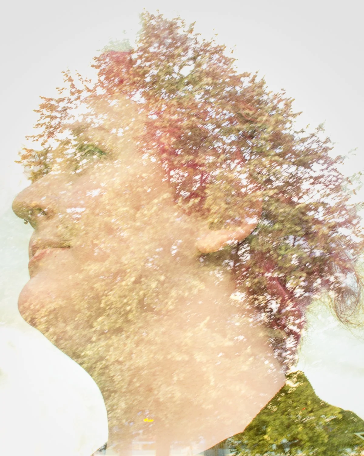 Fineart | Copyright Nina Holtan. All rights reserved.jpg