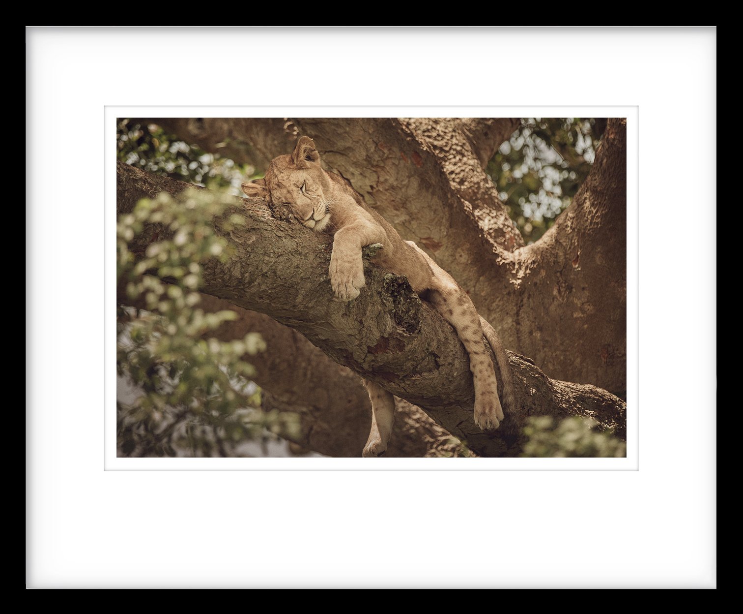 Ramme | Sleeping Beauty.jpg
