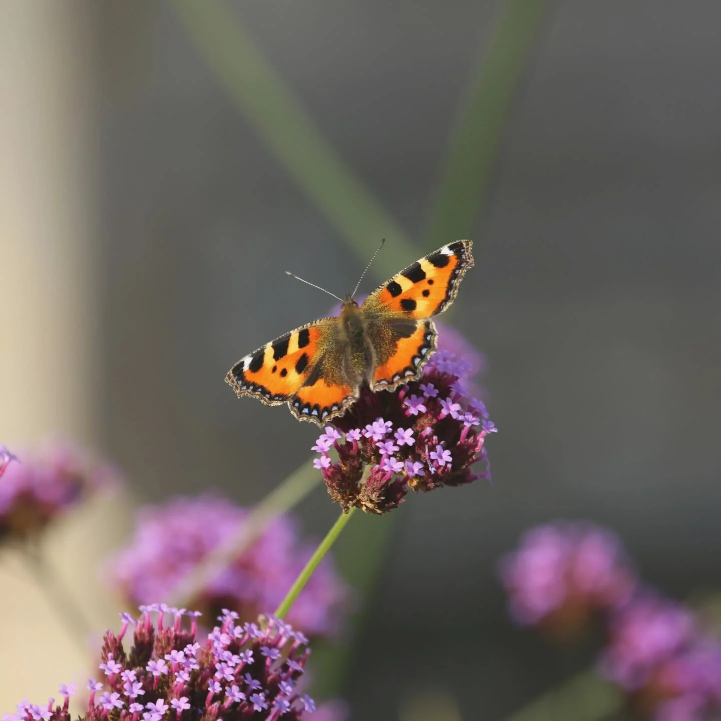 📍 L O C A T I O N  U P D A T E 

Hello everyone 🤍

I just wanted to share a little update to let you know that I&rsquo;ve now finished working at Pure Treatment Rooms in Wetherby and will be working full time from my home therapy space in Ripon. ✨
