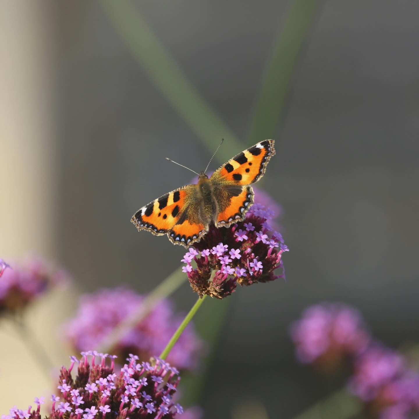 📍 L O C A T I O N  U P D A T E 

Hello everyone 🤍

I just wanted to share a little update to let you know that I&rsquo;ve now finished working at Pure Treatment Rooms in Wetherby and will be working full time from my home therapy space in Ripon. ✨
