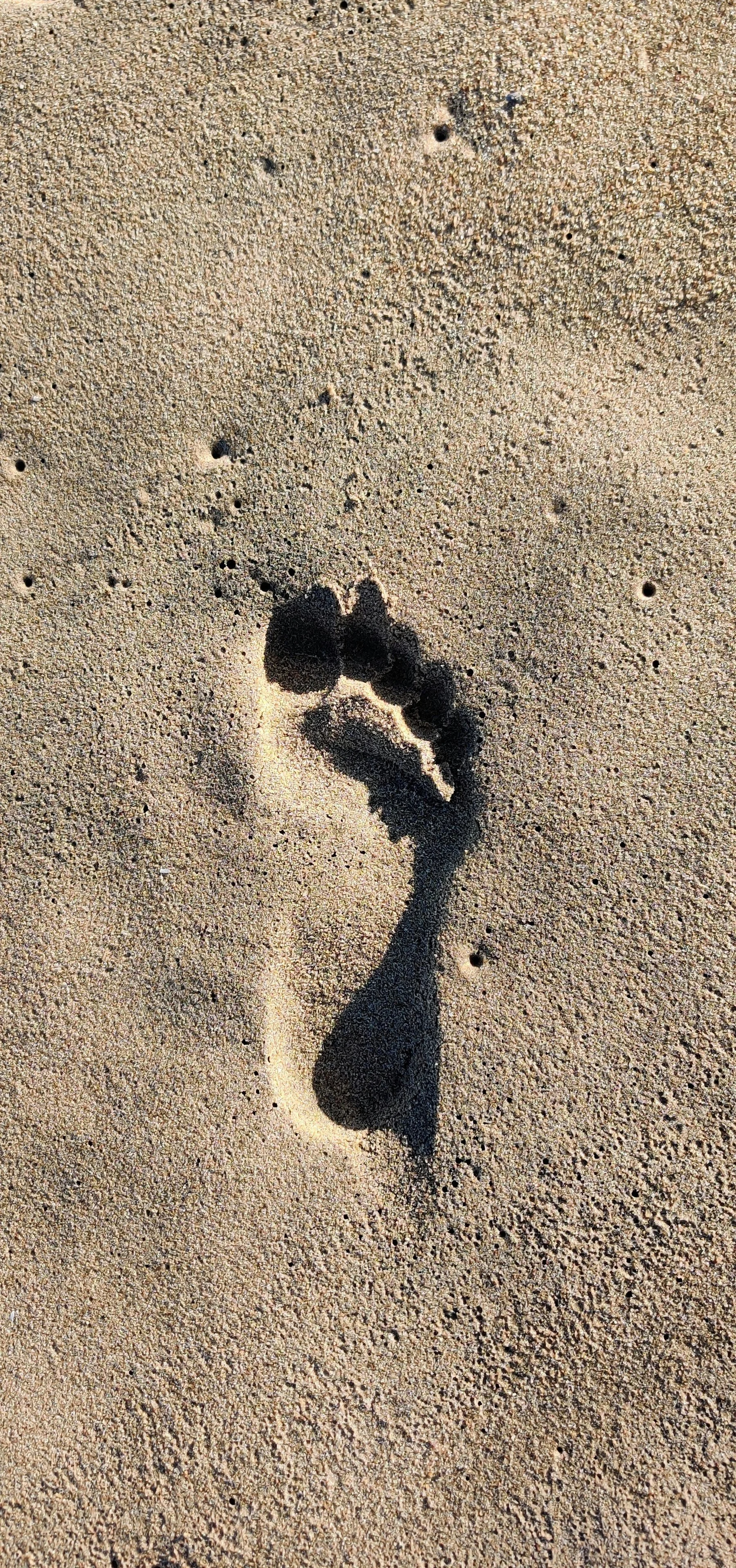 Footprint in the sand on a beach.