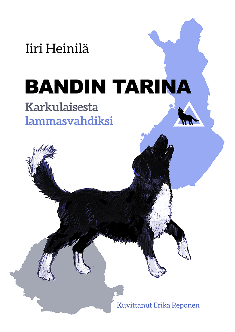 Book cover illustration & design - Bandin tarina by Iiri Heinilä (2024)