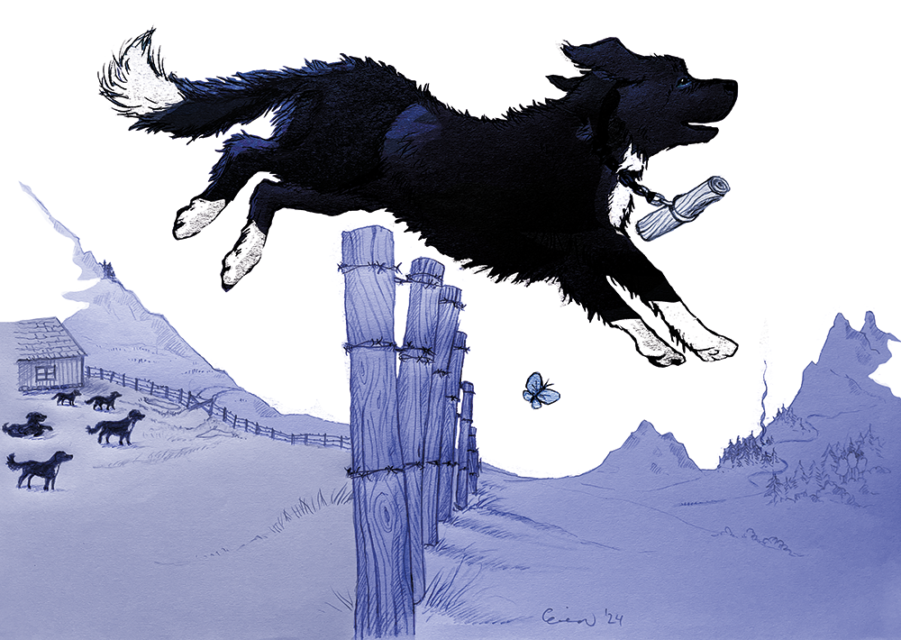 illustration for book: Bandin tarina by Iiri Heinilä (2024)