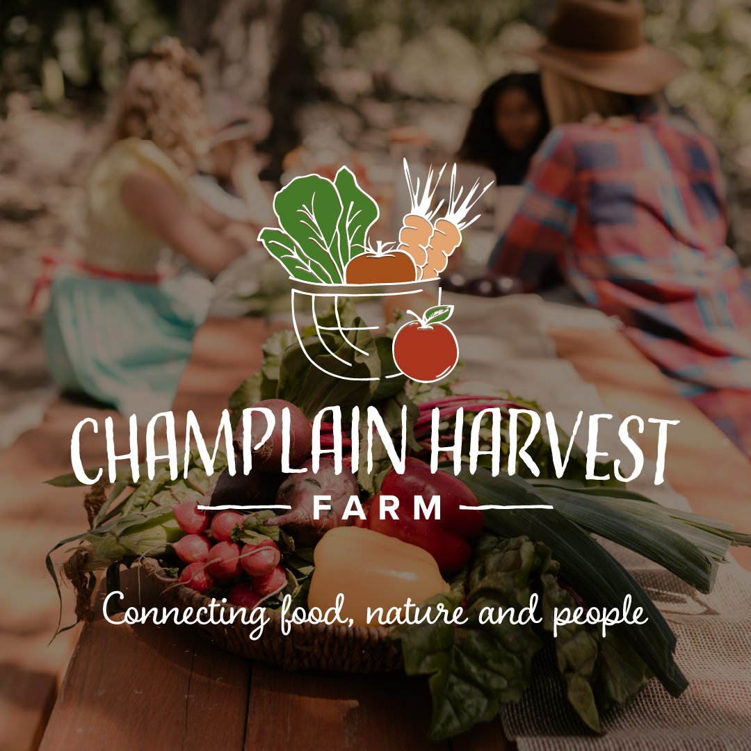 Champlain Harvest Farm Branding1.jpg