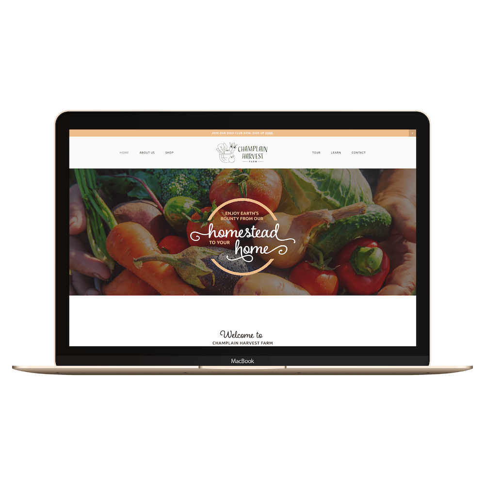champlain harvest farm squarespace website.png
