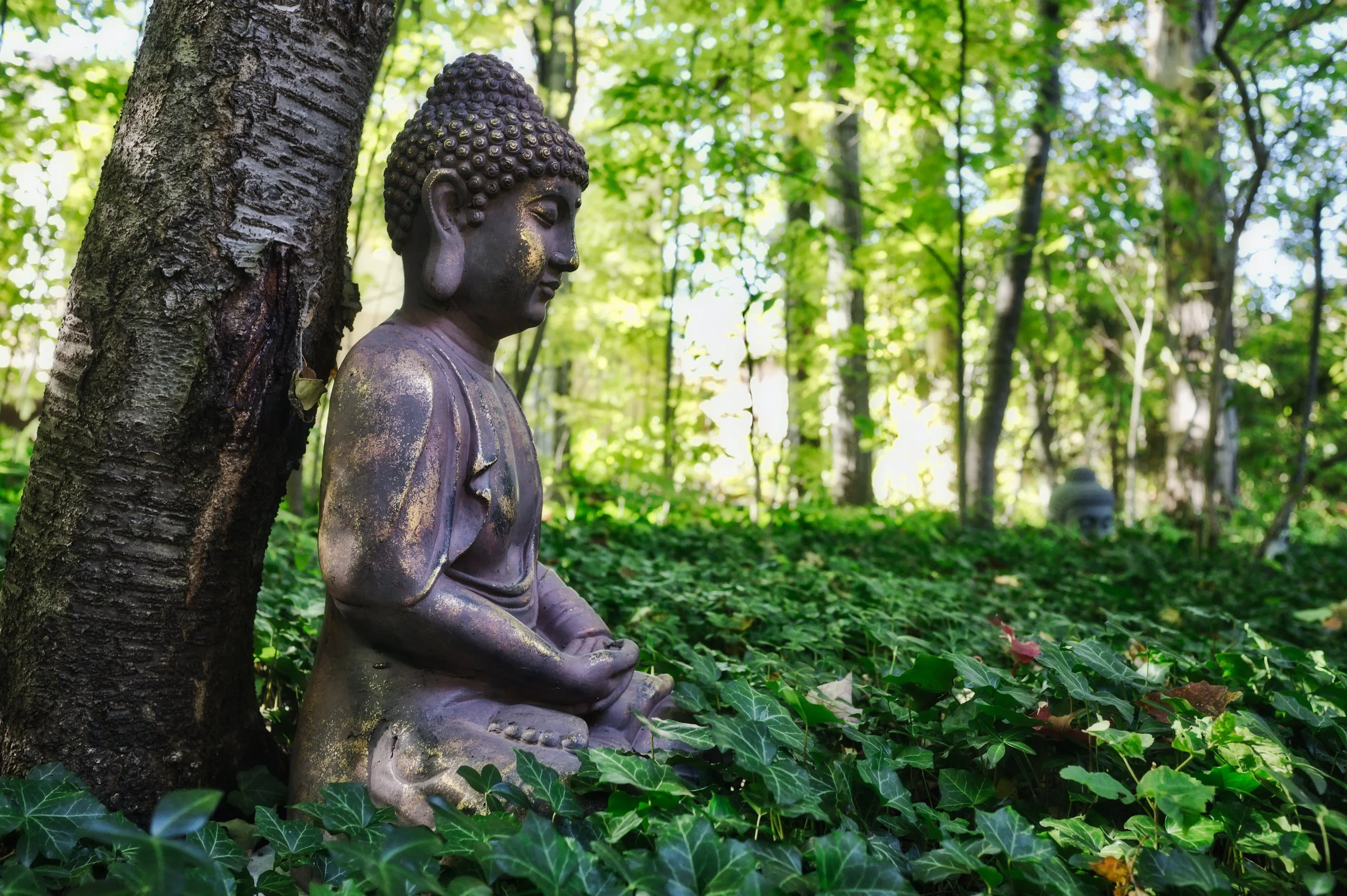 20 anni di Sangha del Lago