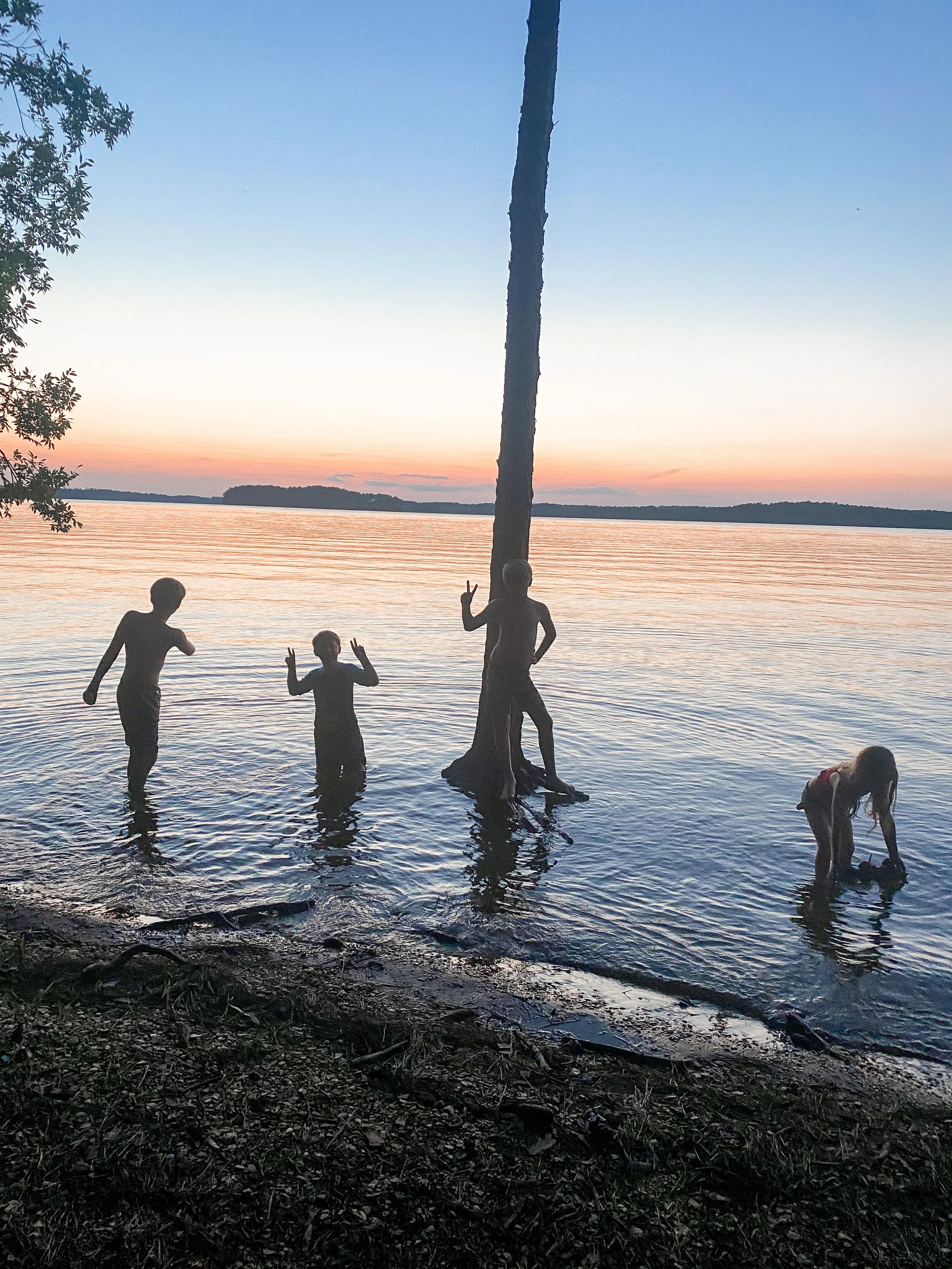 Hamilton Branch State Park Campground Review