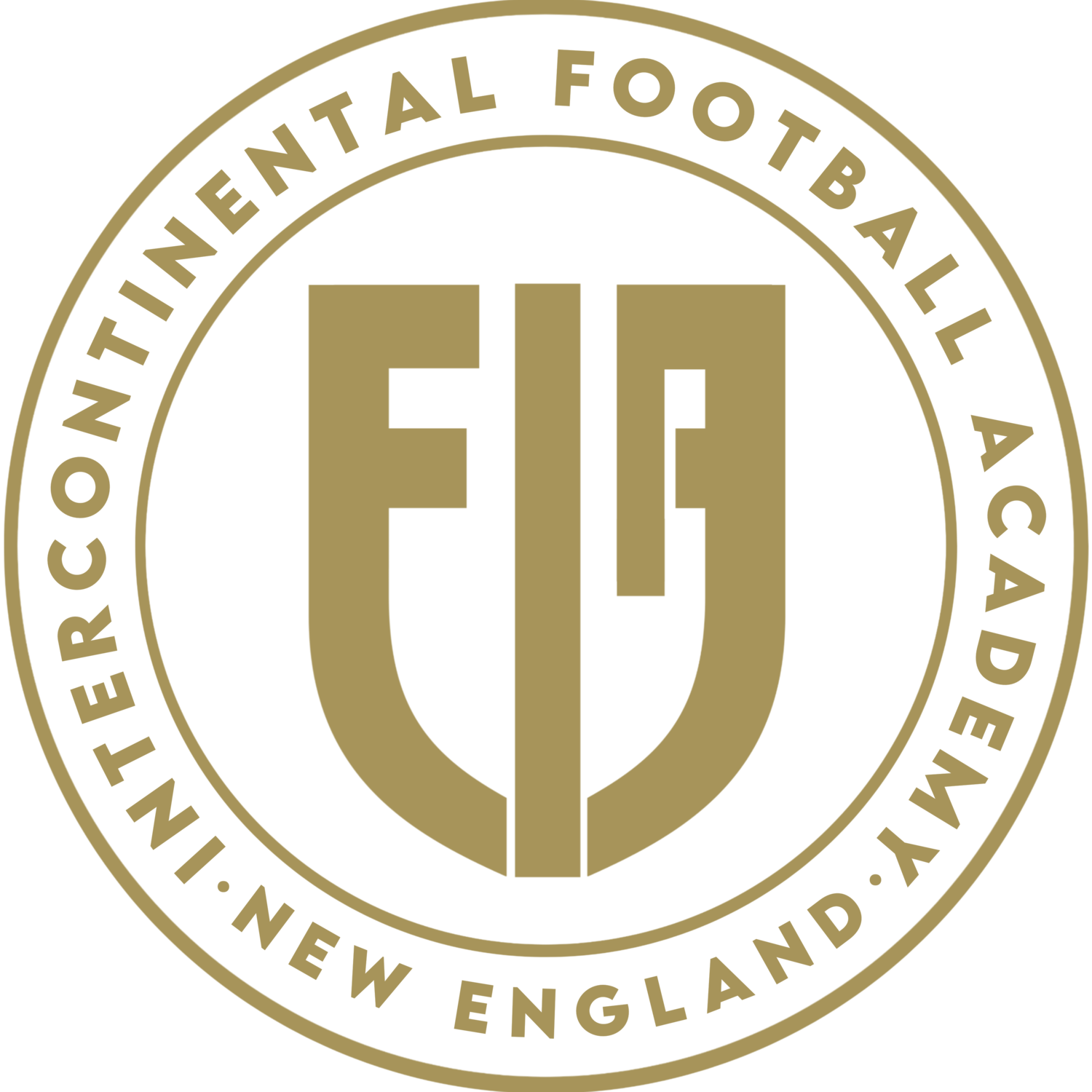 Intercontinental Football Academy of New England