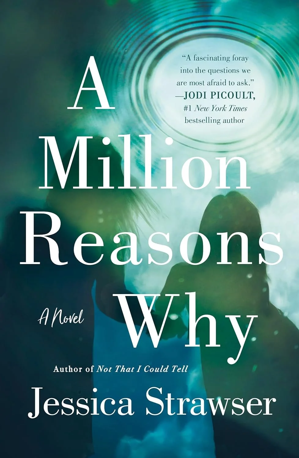 Million Reasons Why - Jessica Strawser