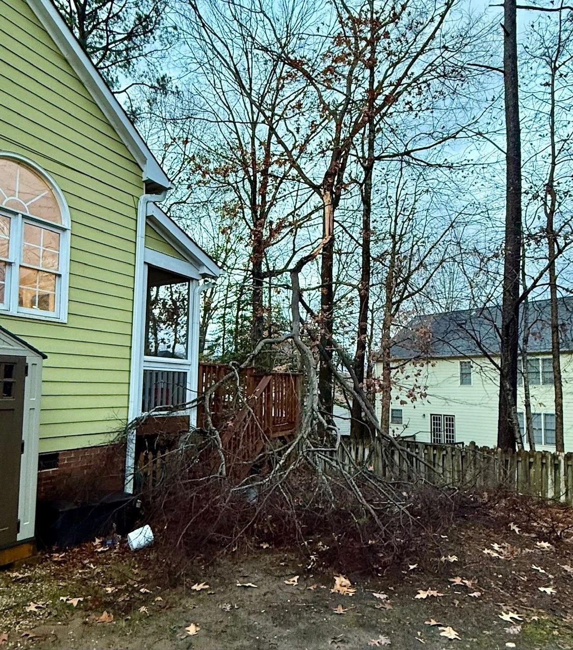 Starting a New Year on Solid Ground