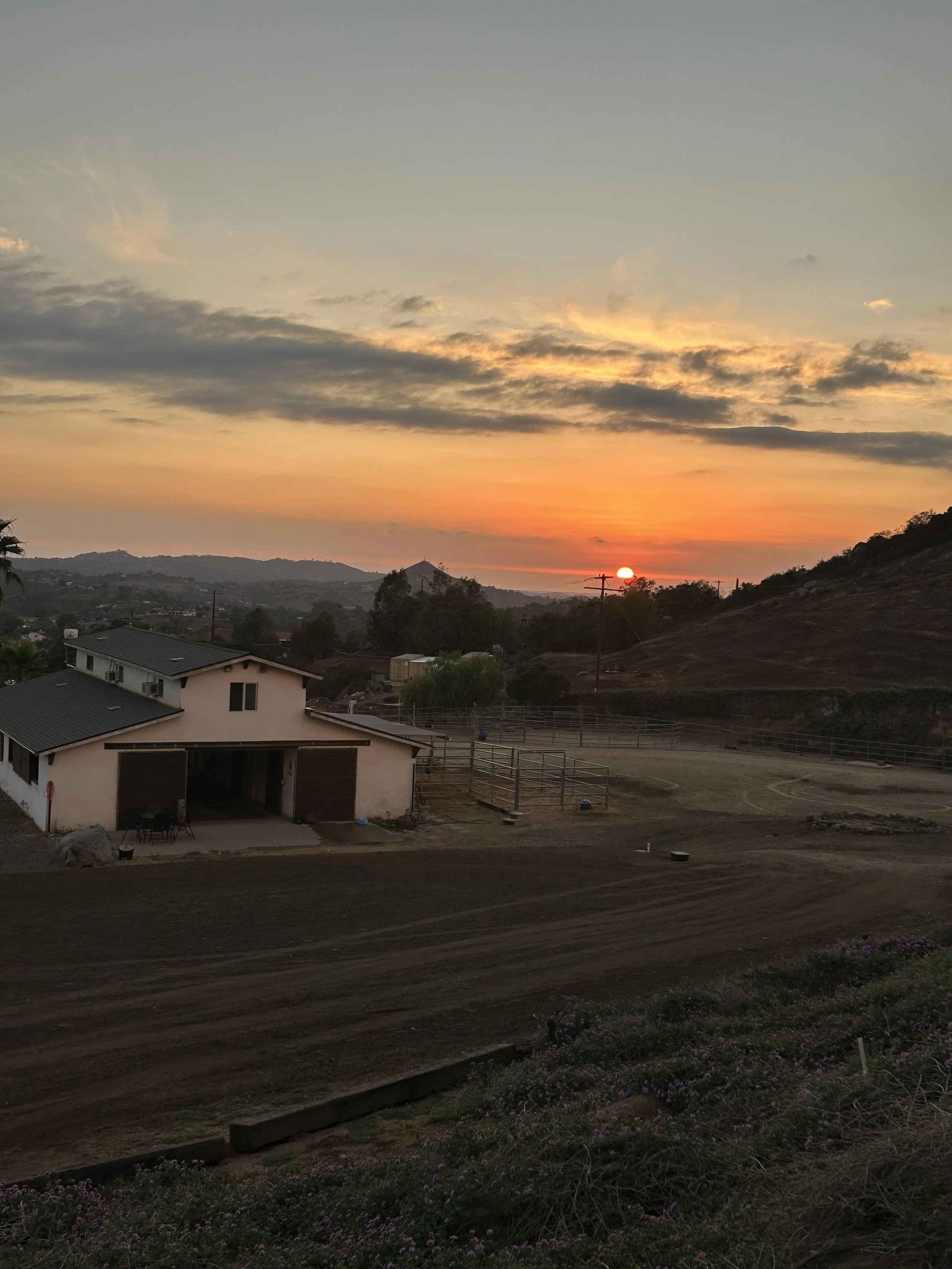 Live In Person Intention Wheel Retreat