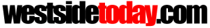 wst-logo-300x41-1.png