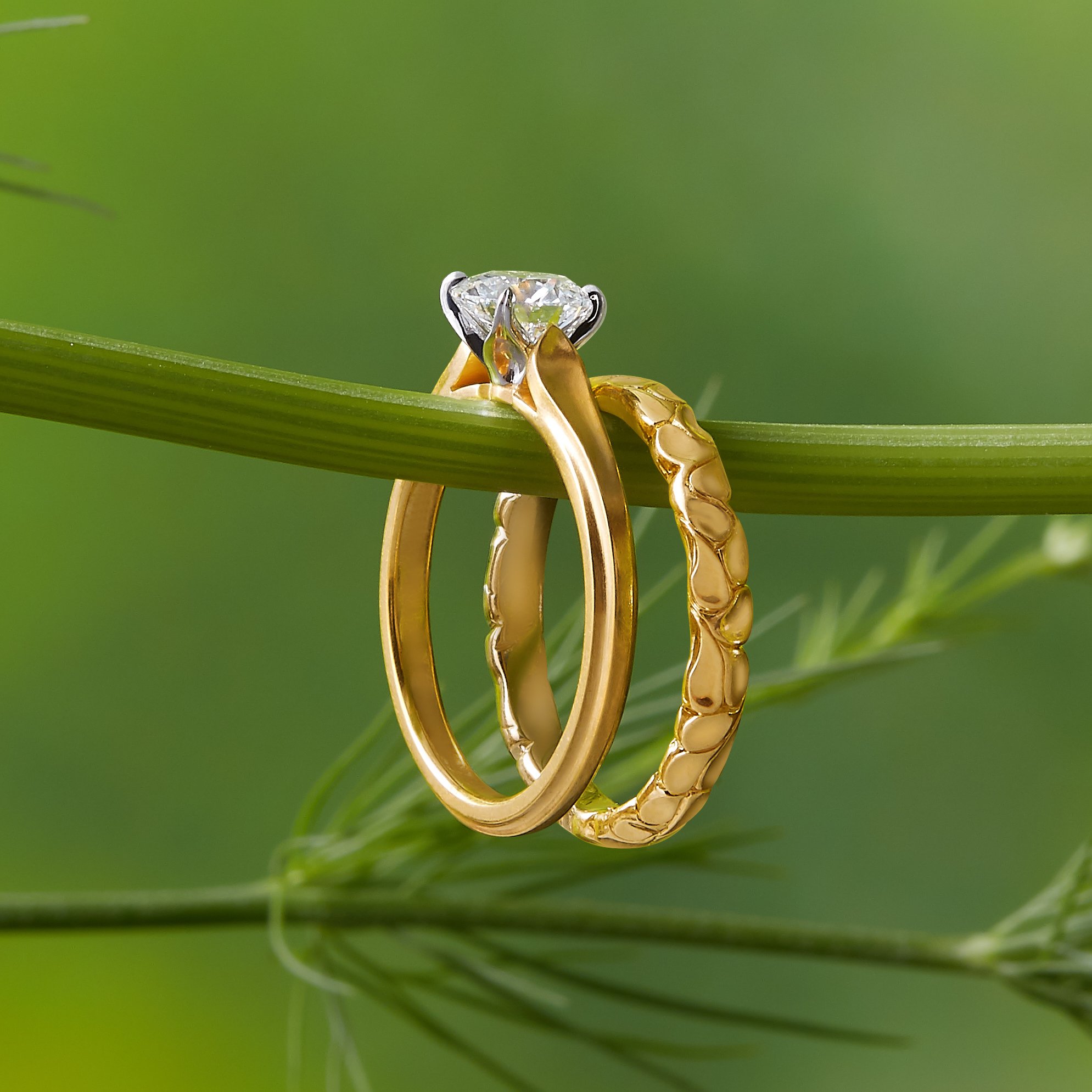 Wildflower collection. Delicate, elegant, artistic, original, beautiful, balanced, handcrafted, unique, diamond engagement rings from master fine jeweler Tim of TW McClelland TWM. Gold and platinum.