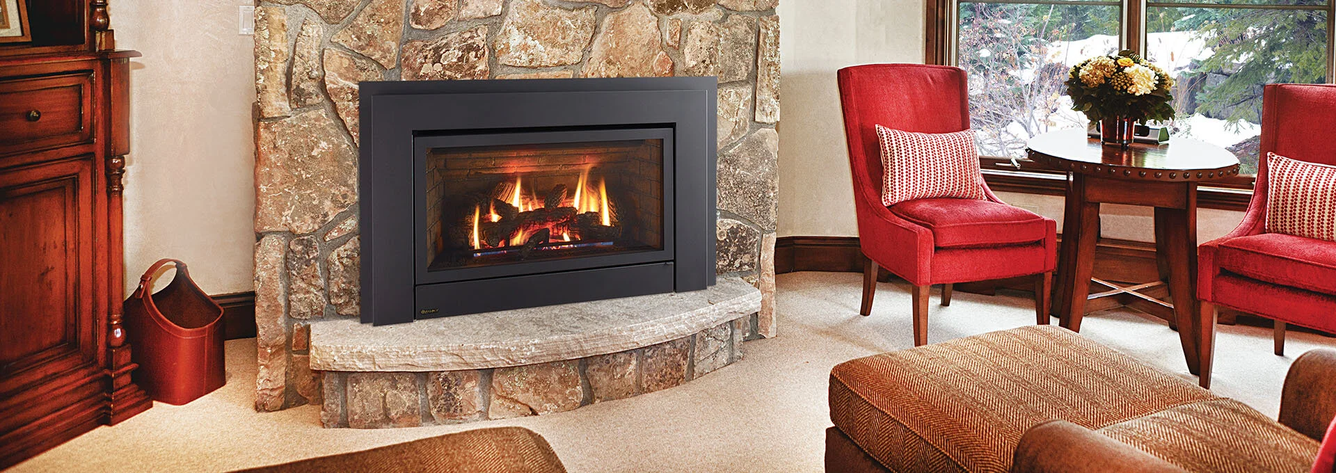 Regency® Energy™ E33 Gas Insert — Rangeley Fireplace and Stove
