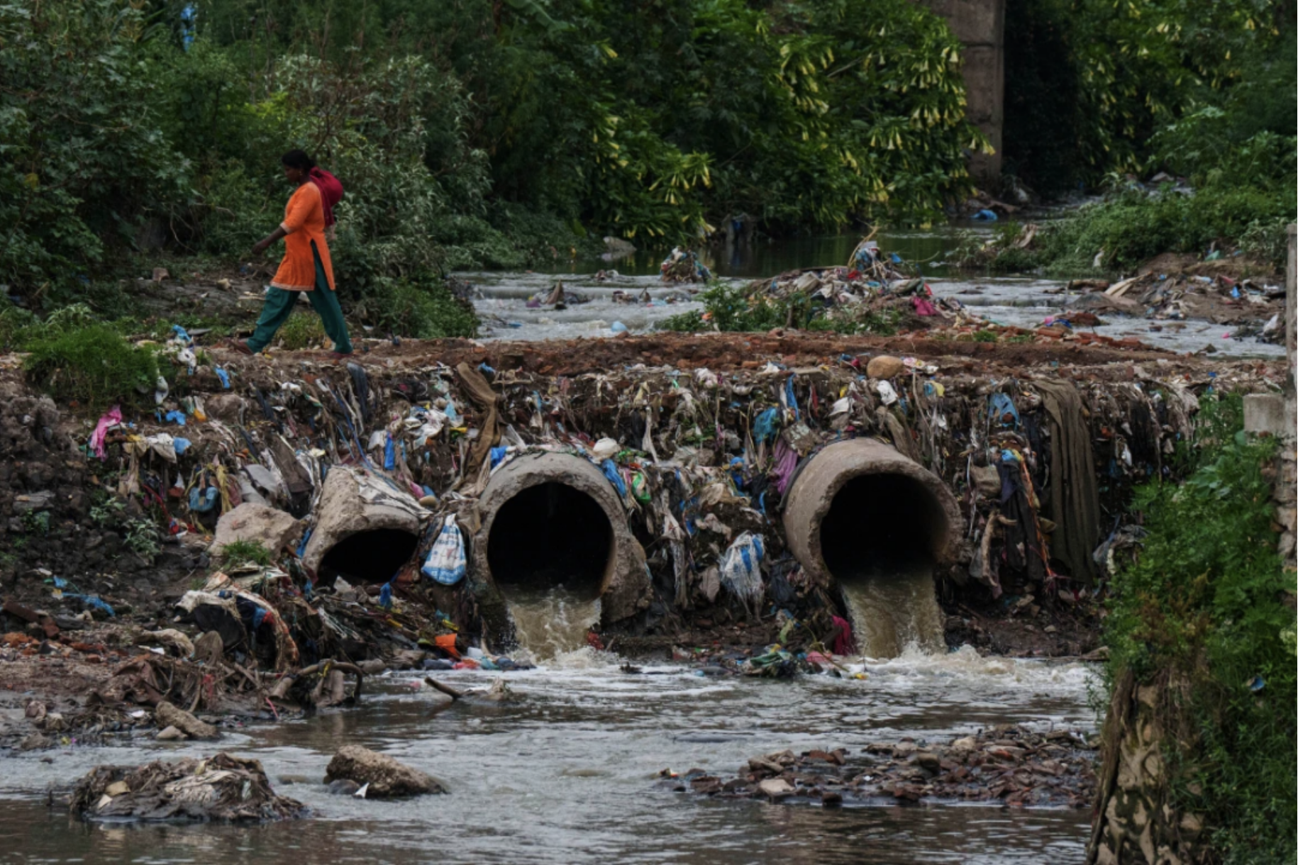 Screenshot 2024-07-19 at 4.44.22 PM.png