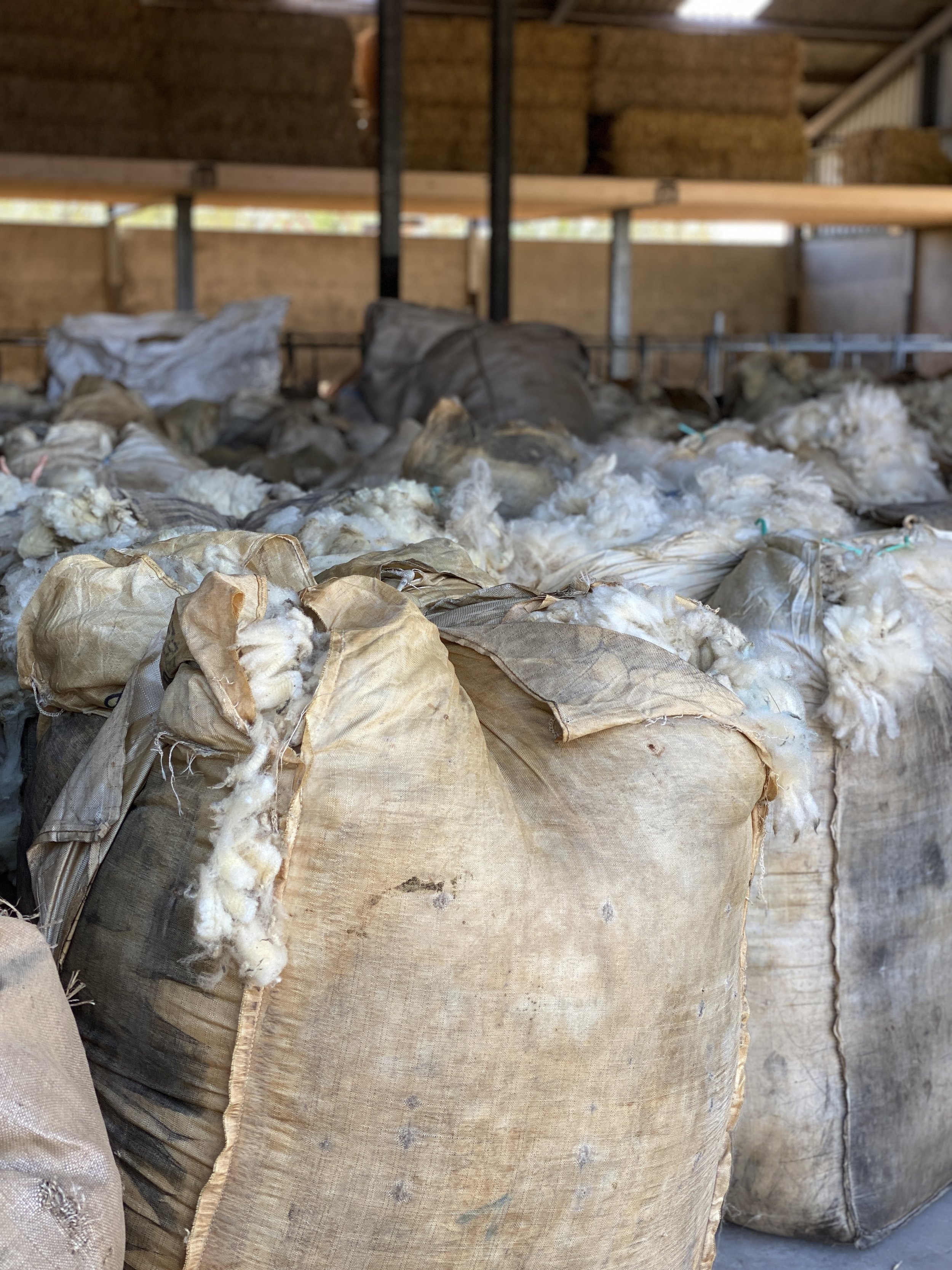 Nederlandse wolvezels: waarom kiezen voor wol van Nederlandse schapen?