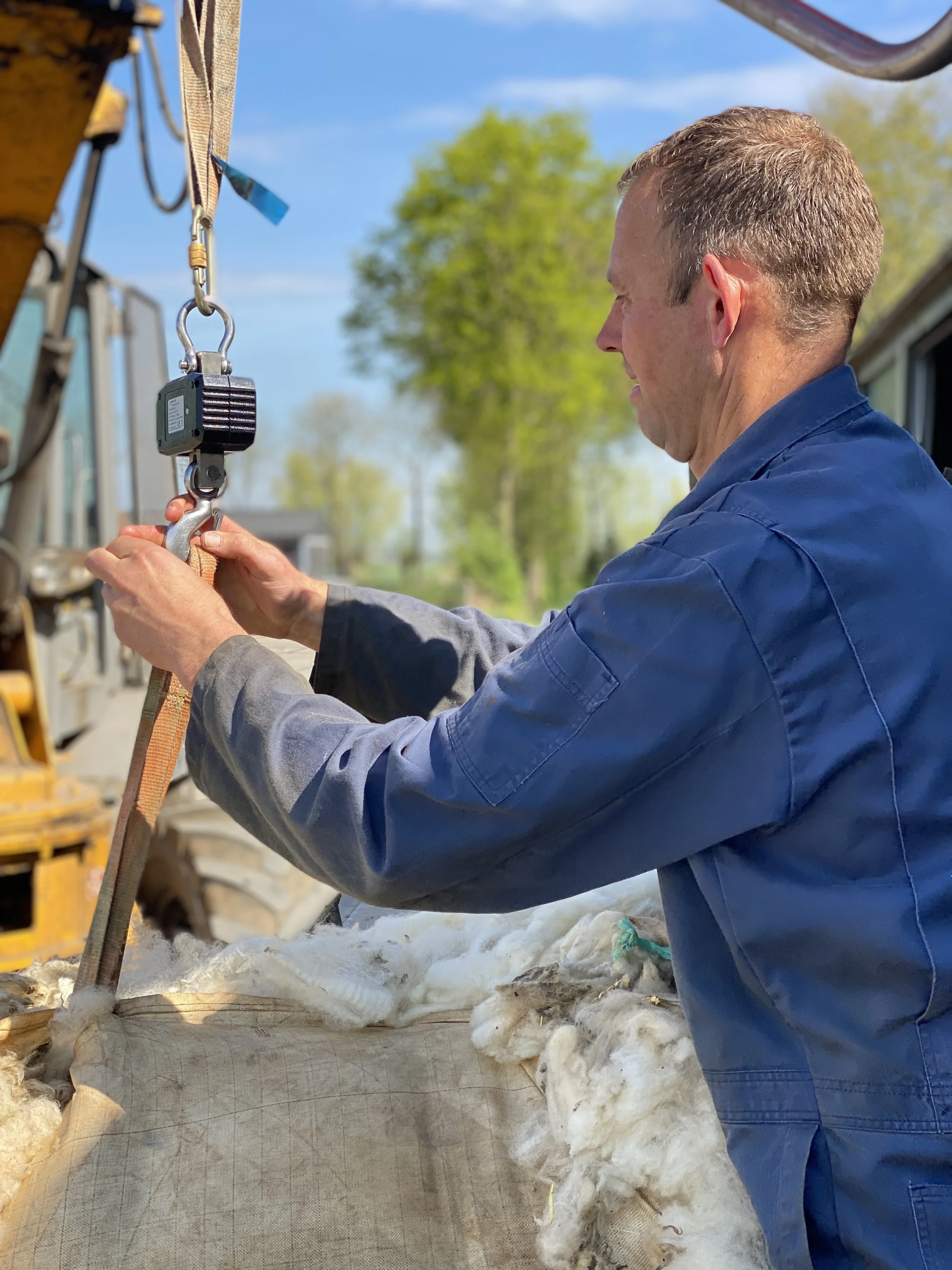 Wol beschikbaar maken: de lessons learned uit de inkoop van Nederlandse wol