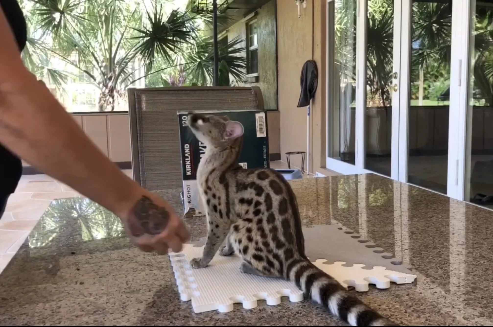 Developing a “Stay” Behavior