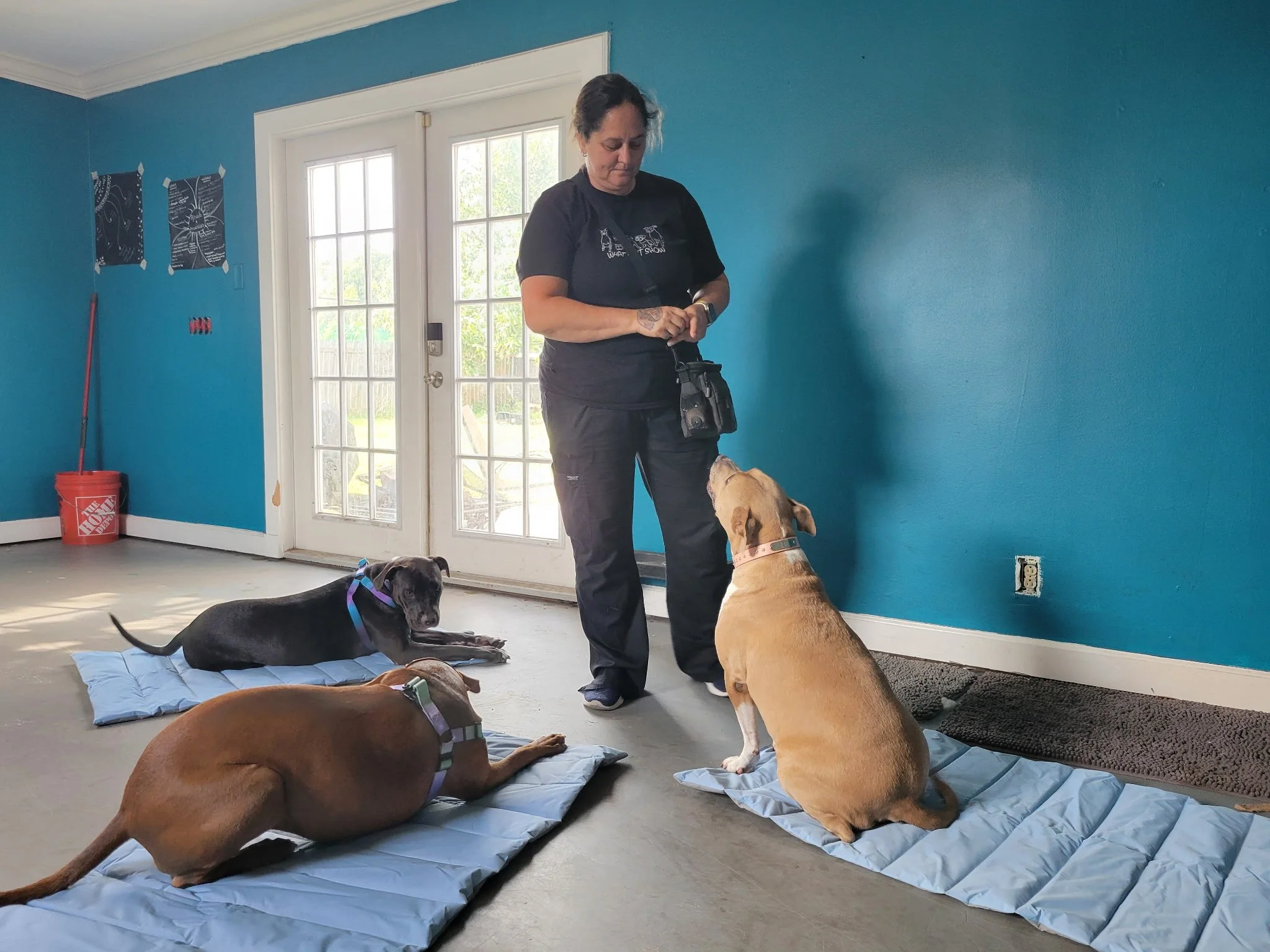 “Settle” On a Mat