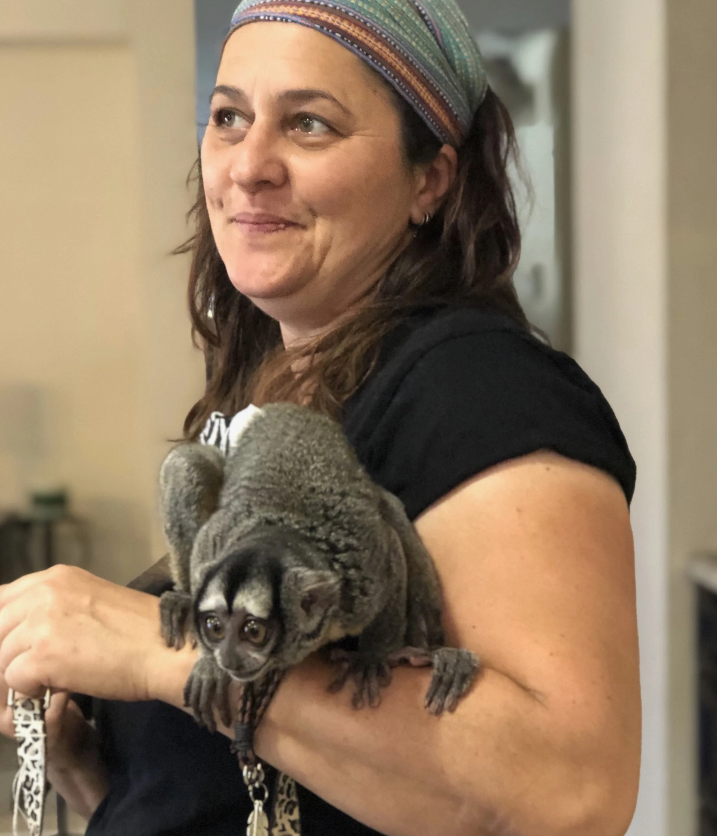 A woman with a colorful headscarf holding an owl monkey on her arm.