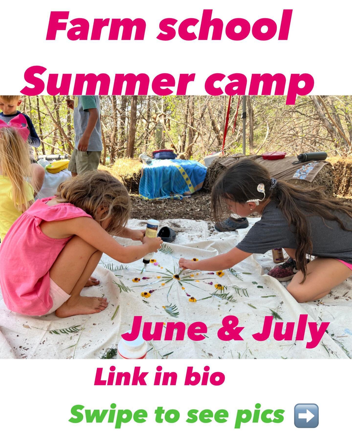 Our very popular Summer Camp still has some spots open. Here&rsquo;s our schedule:

9-11:30 ~ outside on the farm doing fun farm activities, like harvesting, planting, chicken &amp; sheep care, games, composting&hellip;

11:30 ~ When the heat kicks i