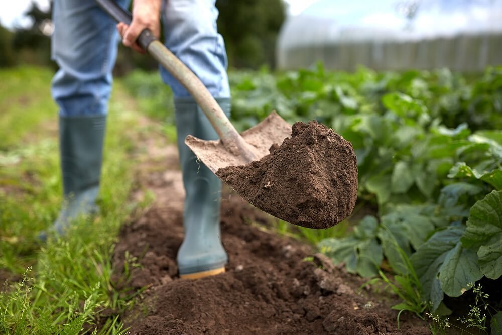 Early Spring Garden Prep Workshop

Join us on our organic farm where the principles of regenerative, permaculture, biodynamic practices come to life.  This workshop is for all levels of gardeners.

Sun., Feb 25th from 10am - 1pm

What to expect: 
* W