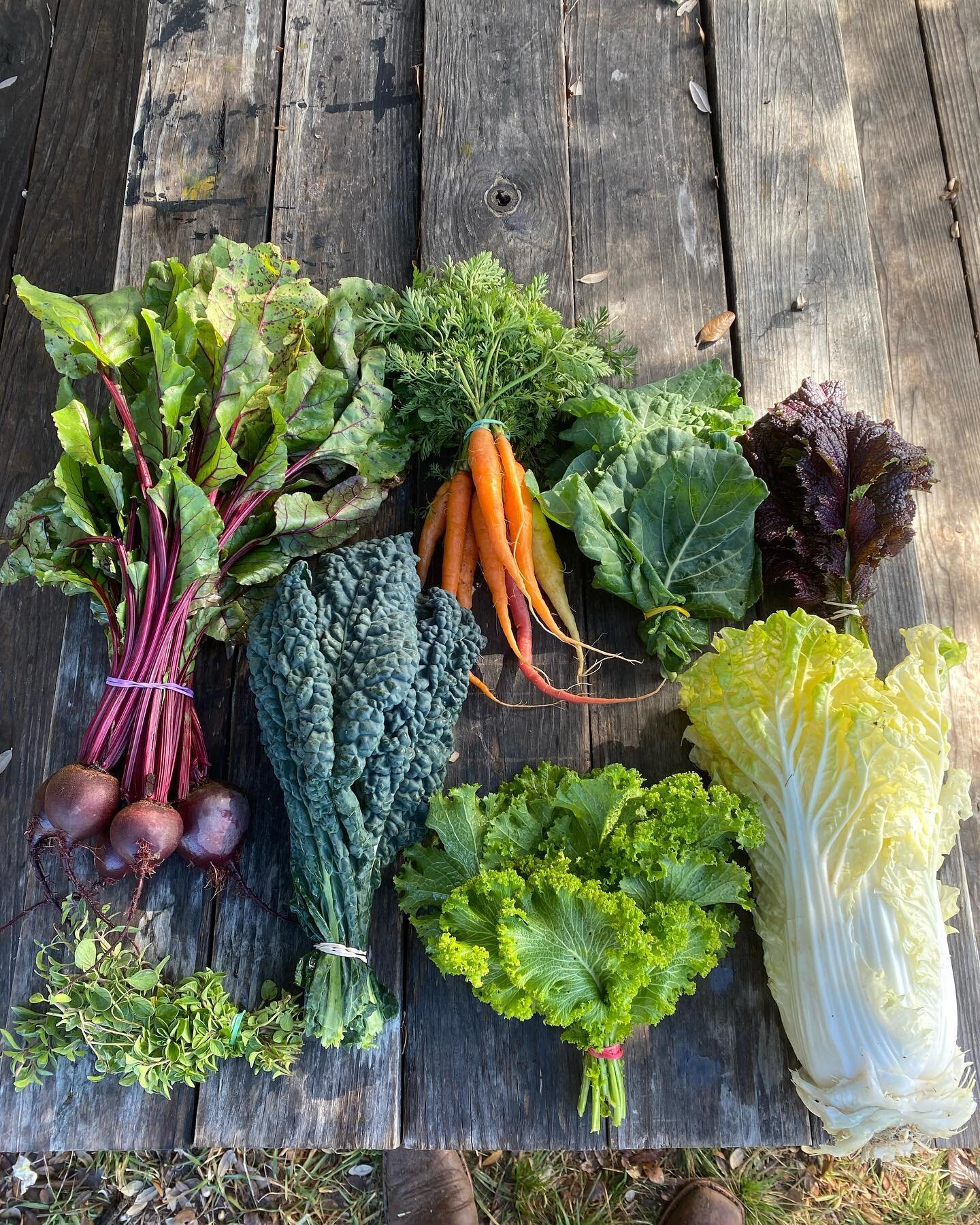 🌱 Embrace the Bounty of Hamilton Pool Vineyards and Farms! 🌱

Our CSA Box Subscription is back with a fresh selection of farm delights for this week! 📦✨

Small Box: 🌈

Beets 
Collards 
Curly Mustard Greens 
Dino Kale 
Oregano 

Medium Box: 🌈

El