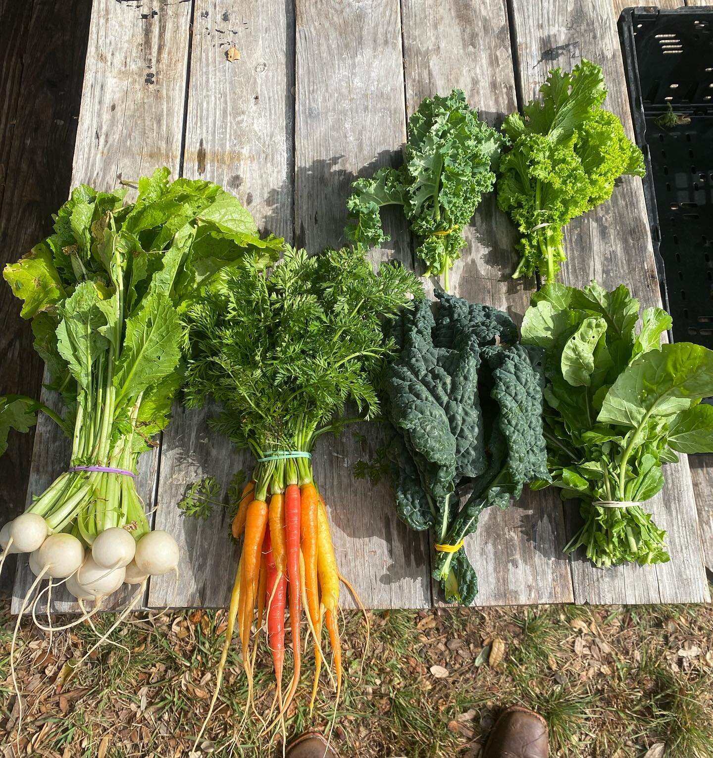 Join Our CSA Program for Fresh, Local Goodness! 🌿

Hey there, fellow food enthusiasts! 🥦🥕

At Hamilton Pool Farms, we invite you to join our Community Supported Agriculture (CSA) program! 🌾 What&rsquo;s better than enjoying farm-fresh, organic pr