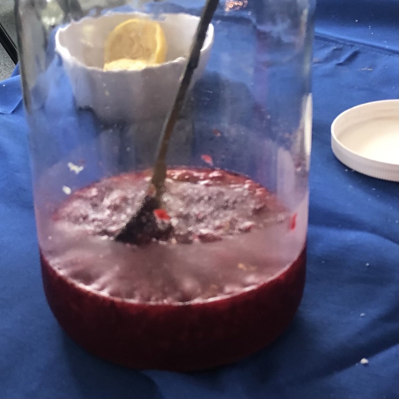 IMG_8680.jpeg