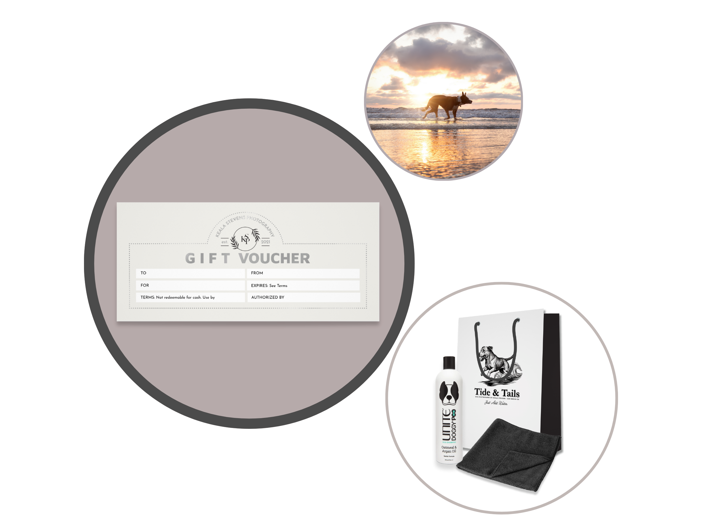 Images of package offer: gift voucher, gift bag, a dog at the beach during sunset.