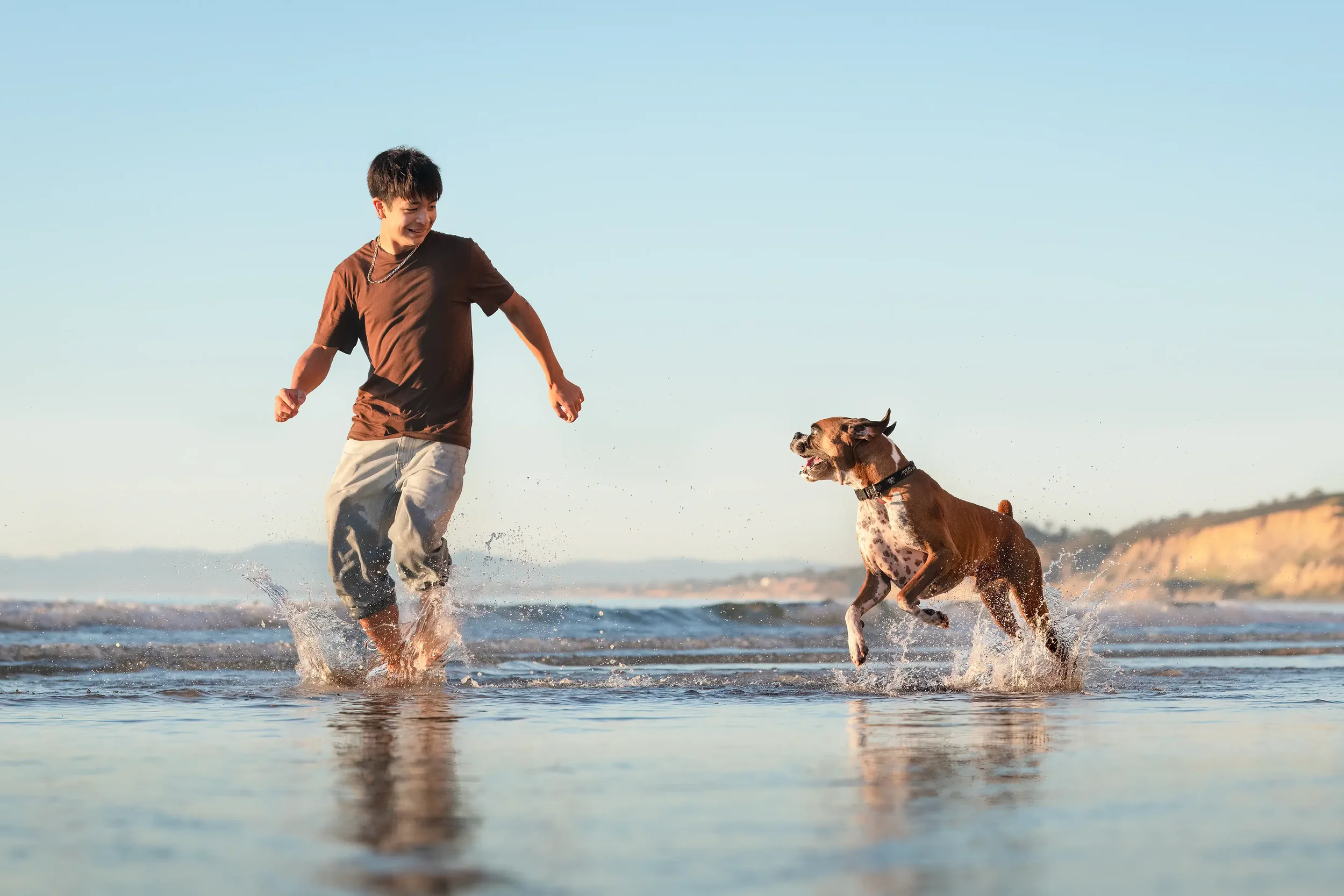 What to Expect at a Coastal Dog Portrait Session in San Diego