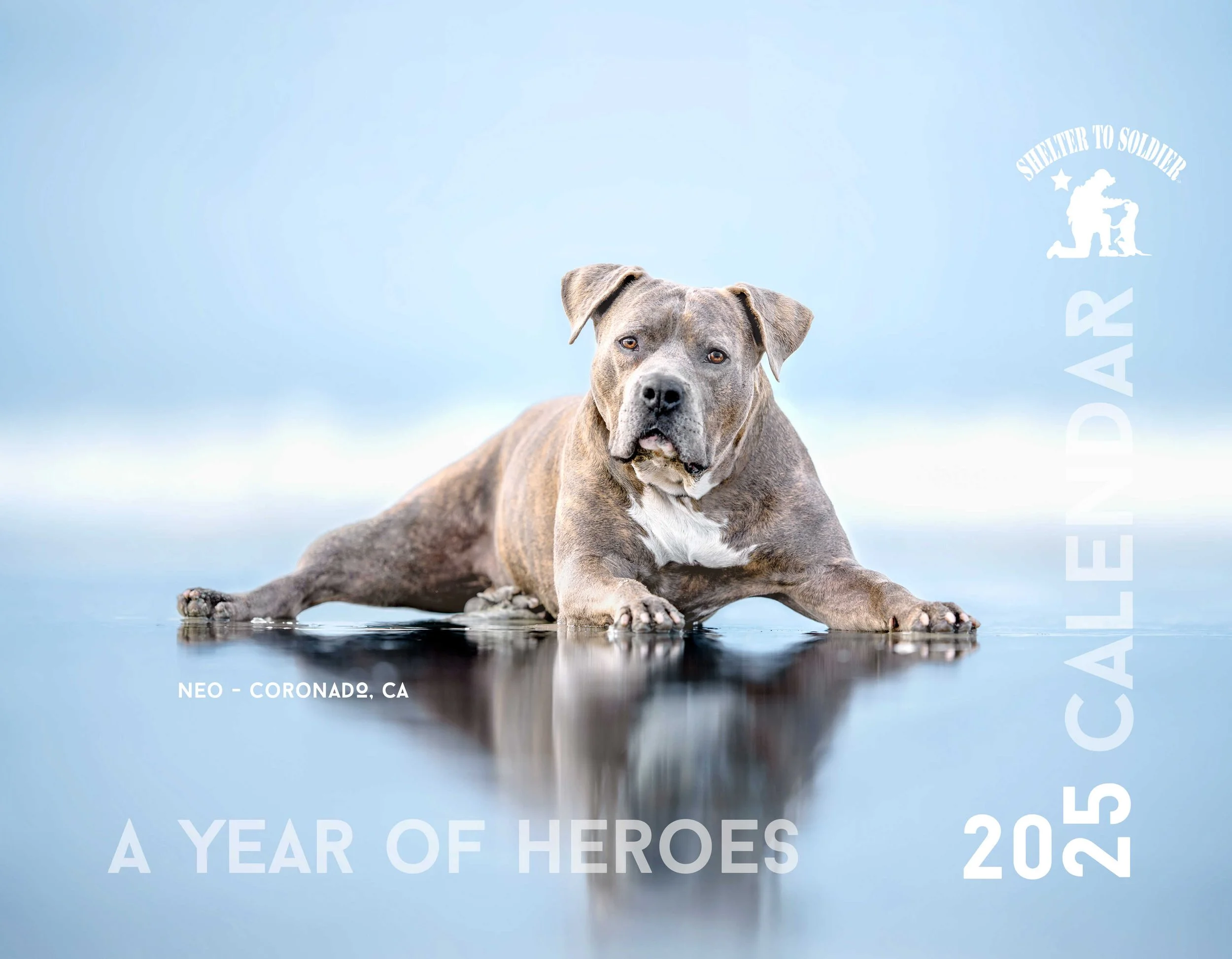The cover of a fundraising dog calendar.