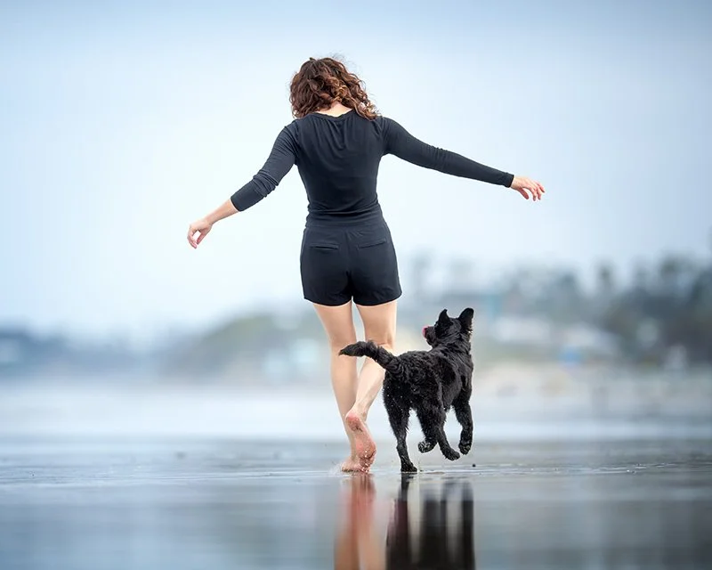A black puppy follow a woman in black clothing as she runs down the beach at lowtide.