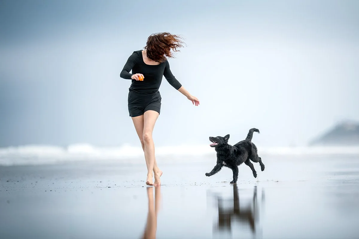 A black puppy playfully chases a woman in black clothing on a beach at lowtide.