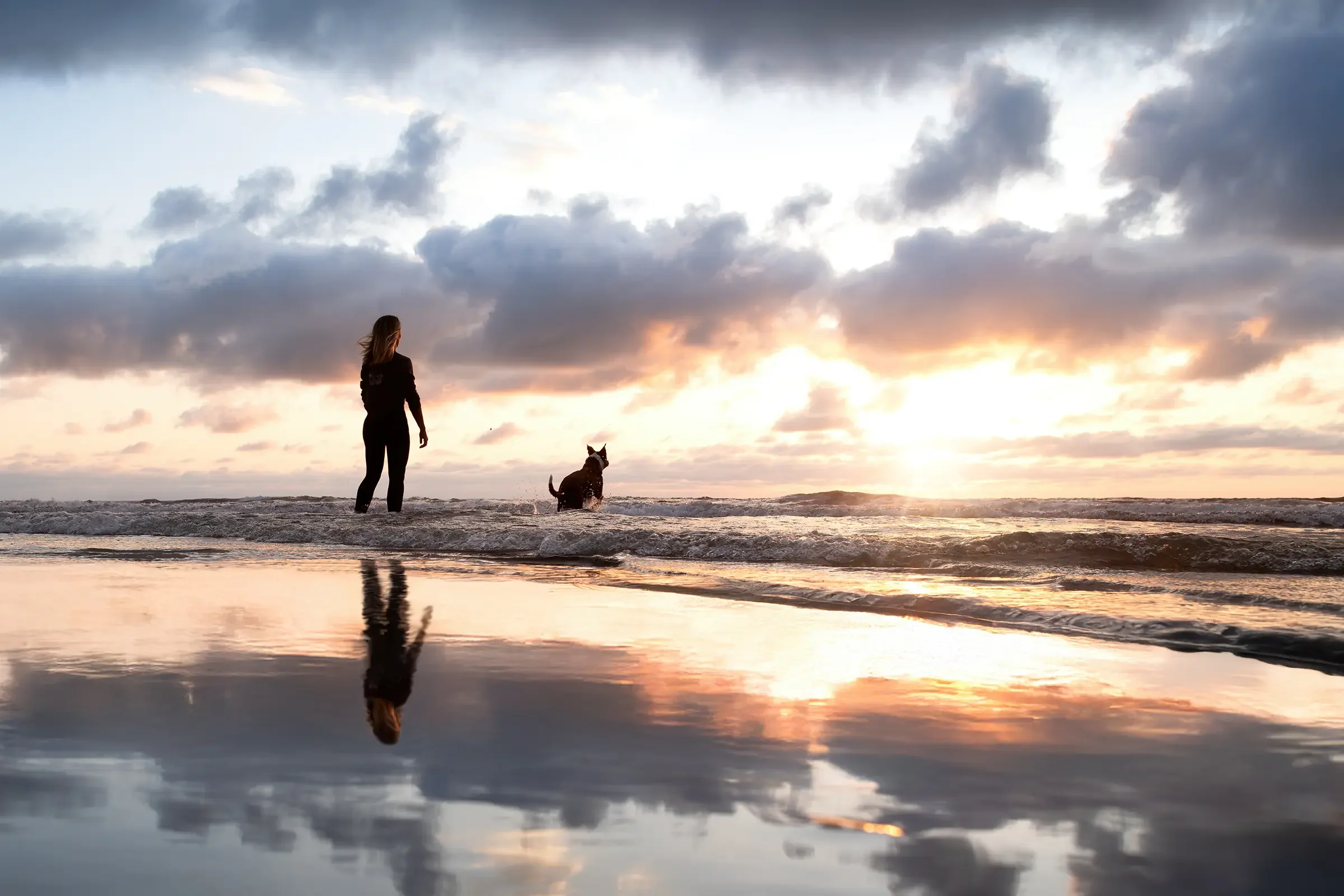 A woman stand at the shoreline watching an amazing sunset as her dog jumps into the sea.