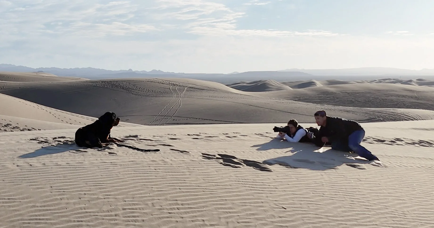 A dog owner and a photographer works to get a photo of their dog in the sand dunes.