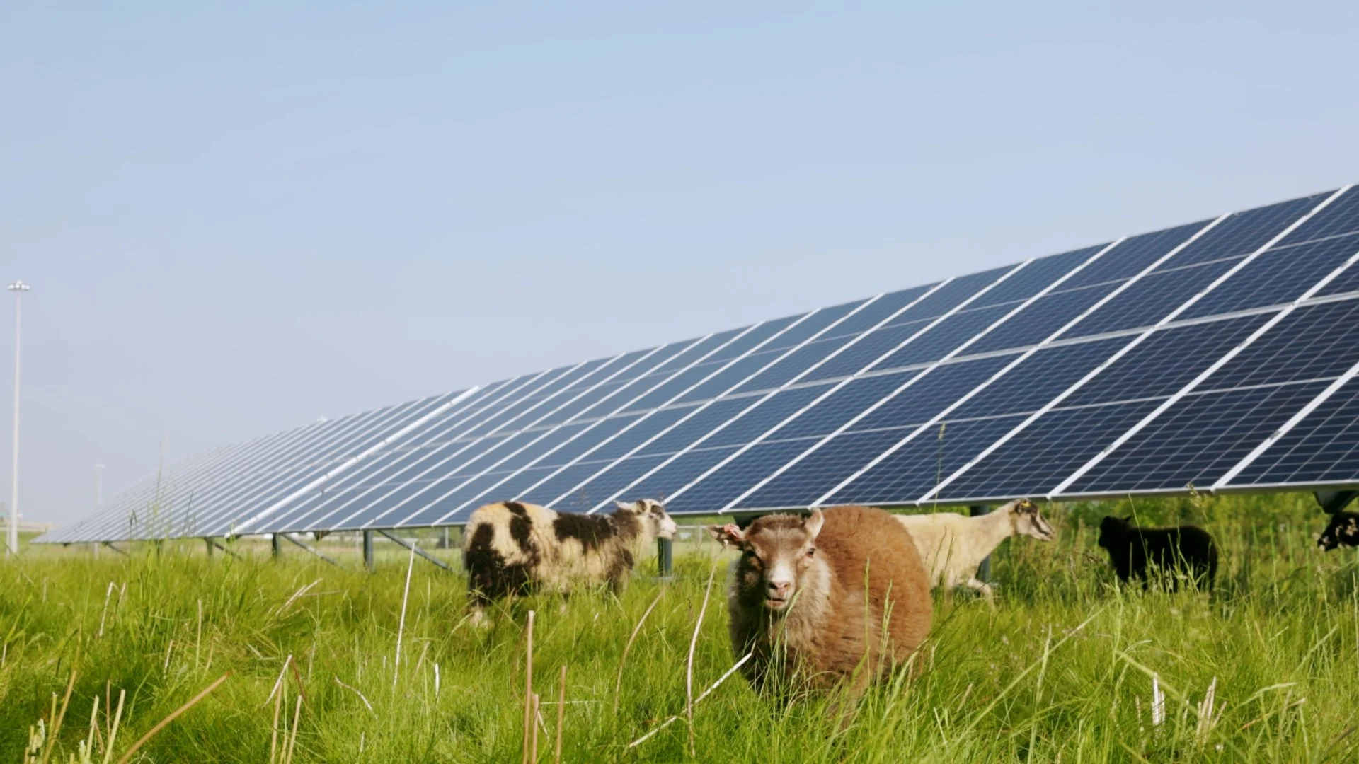 Still 2026-02-26 101754_4.7.1.jpg