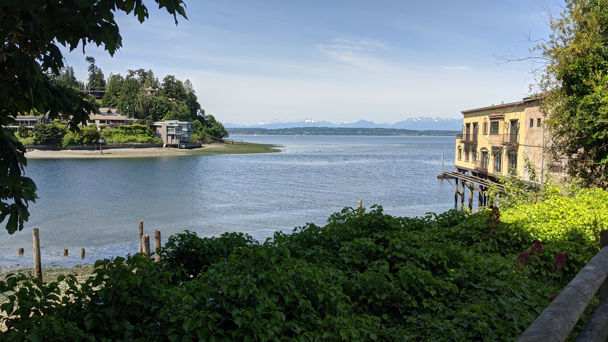 IMG_20200618_113800.jpg