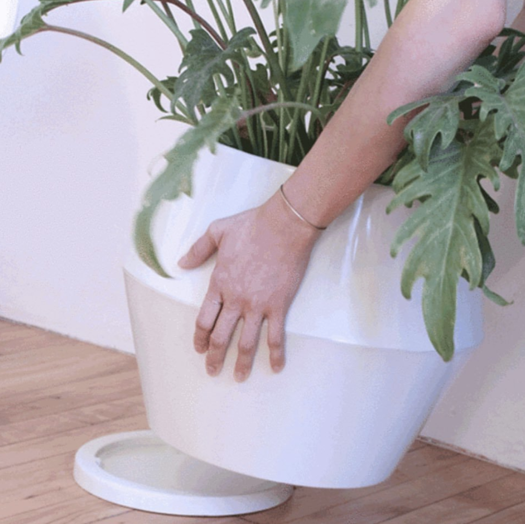 Screen Shot 2020-07-19 at 10.44.43 PM.png