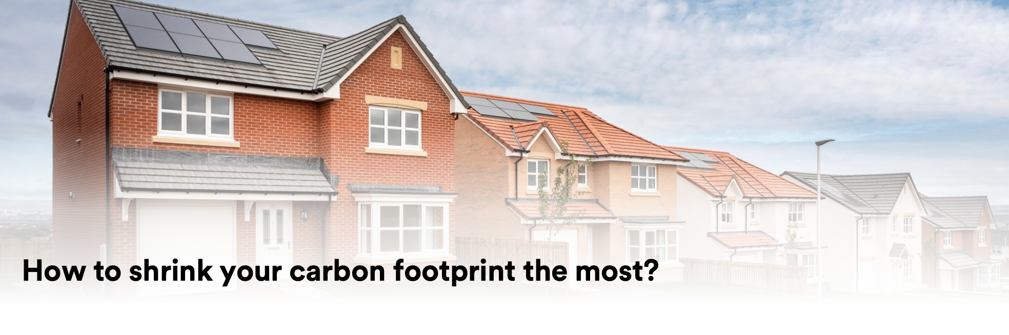 Screen Shot 2021-06-07 at 11.05.33 AM.png