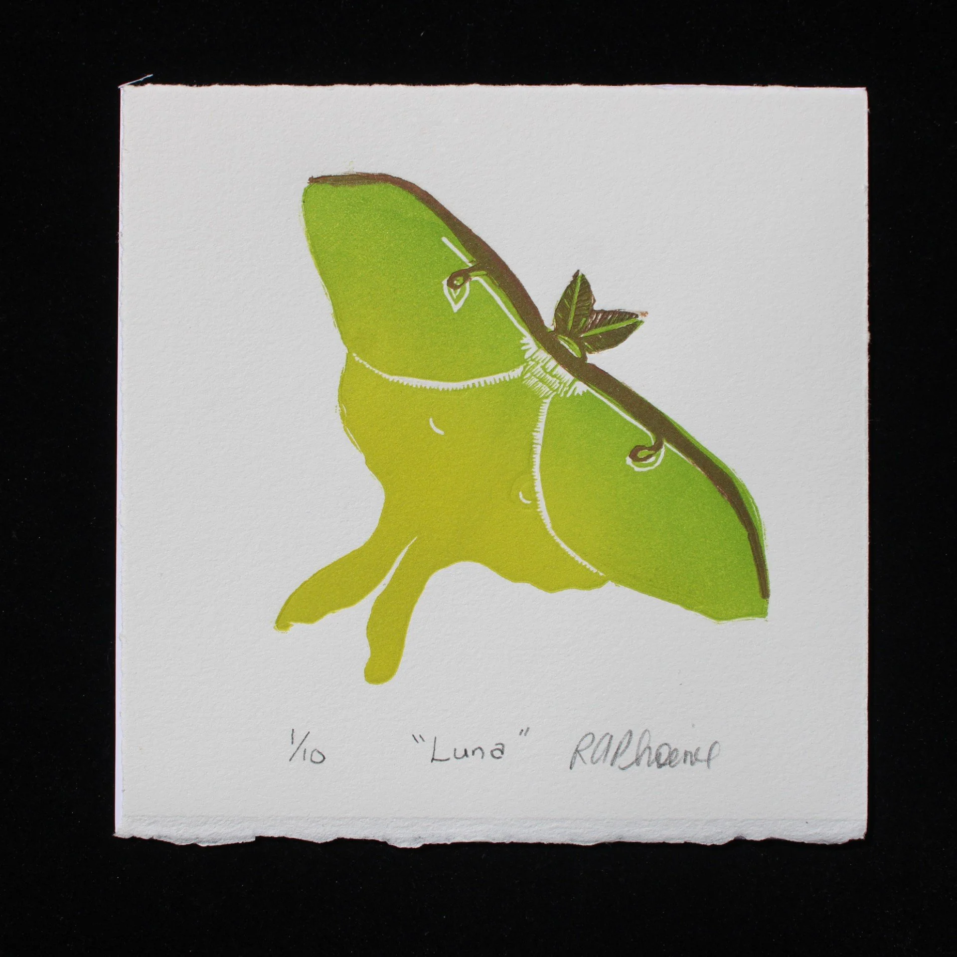 "Luna"
Fits a standard 6 x 6 frame
