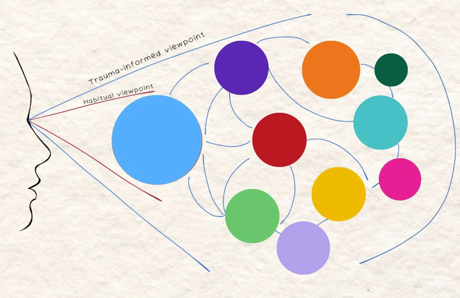 Diagram illustrating how traumatic and habitual viewpoints influence perception, showing various colored circles connected by blue lines to a person's face outline.